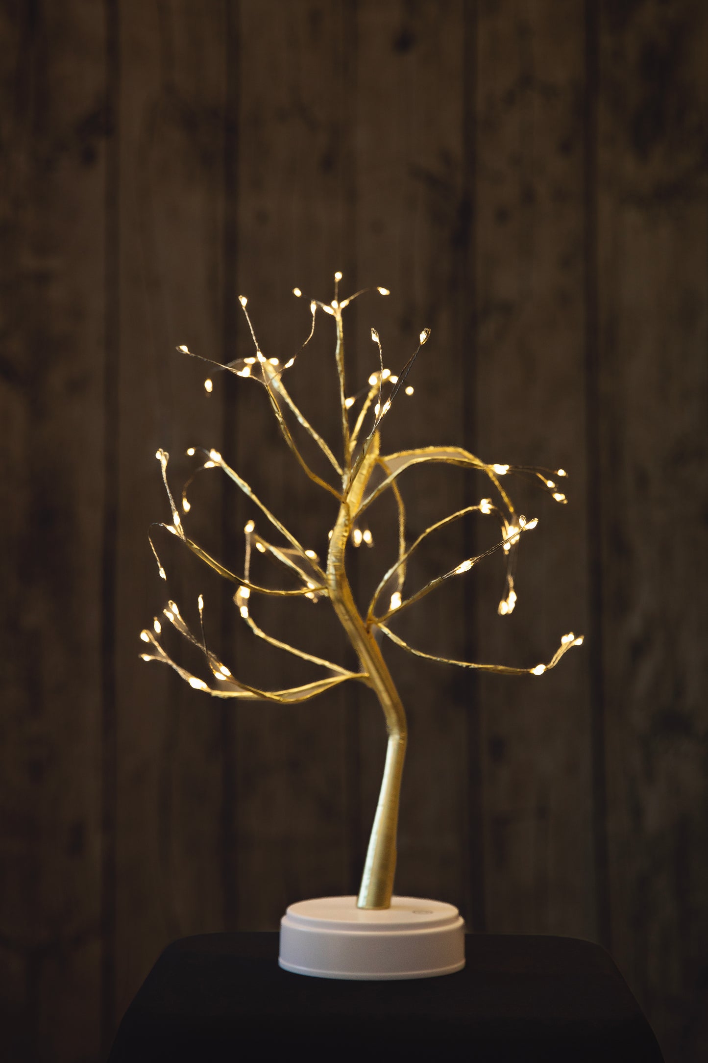 Hudson Money Bonsai Tree