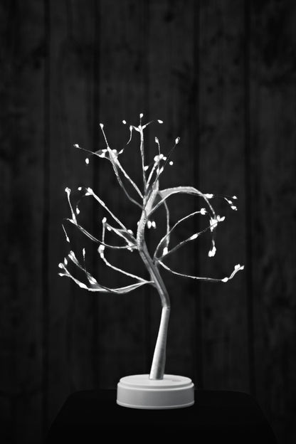 Hudson Money Bonsai Tree