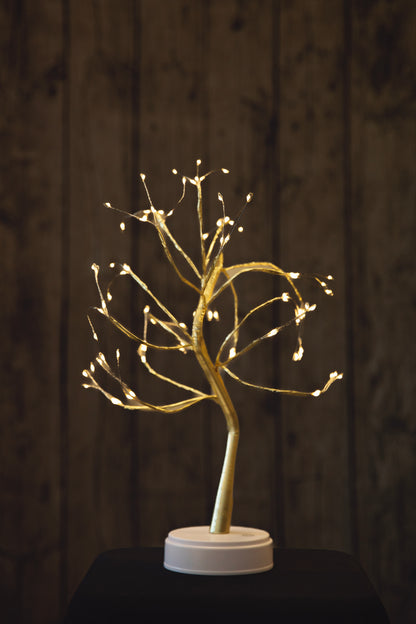 Hudson Money Bonsai Tree